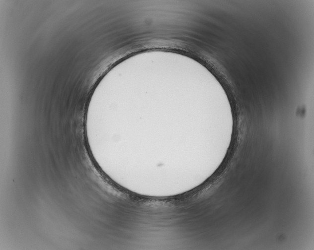 X0000112061033200909151021