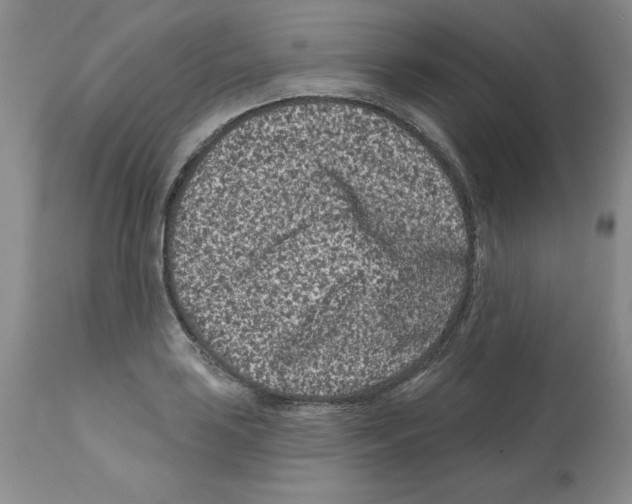 X0000112061035200909151021