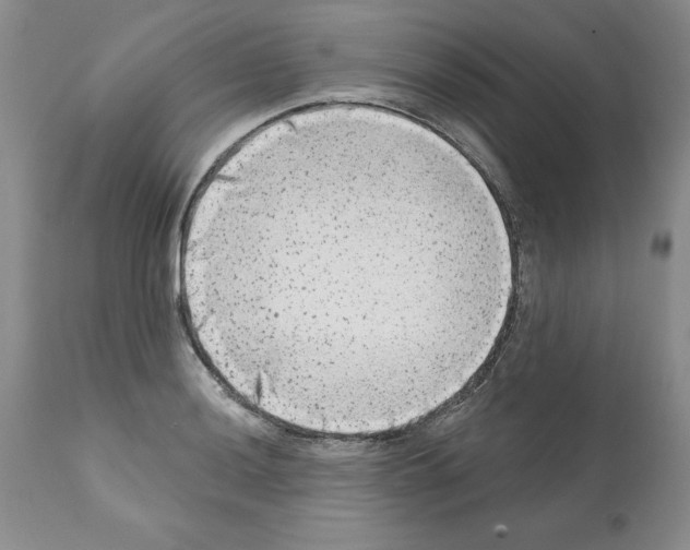 X0000112061036200909151021