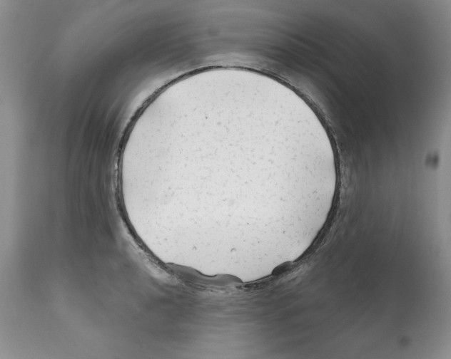 X0000112061040200909151021