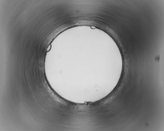 X0000112061041200909151021