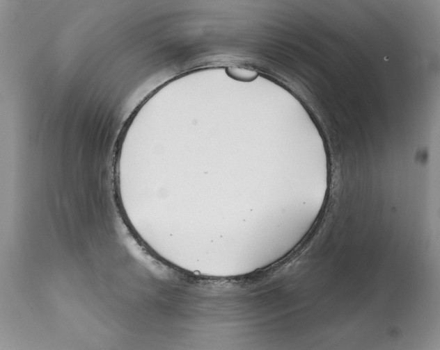 X0000112061042200909151021