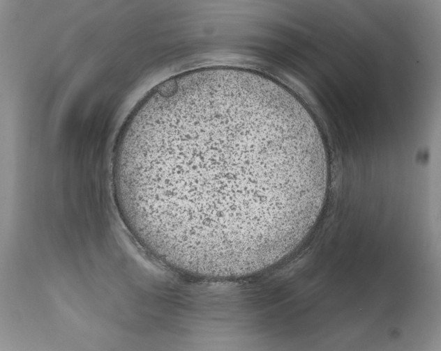 X0000112061043200909151021