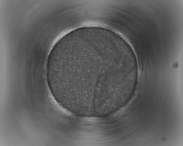 X0000112061045200909151021