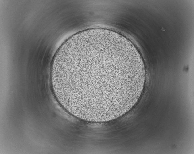 X0000112061048200909151021