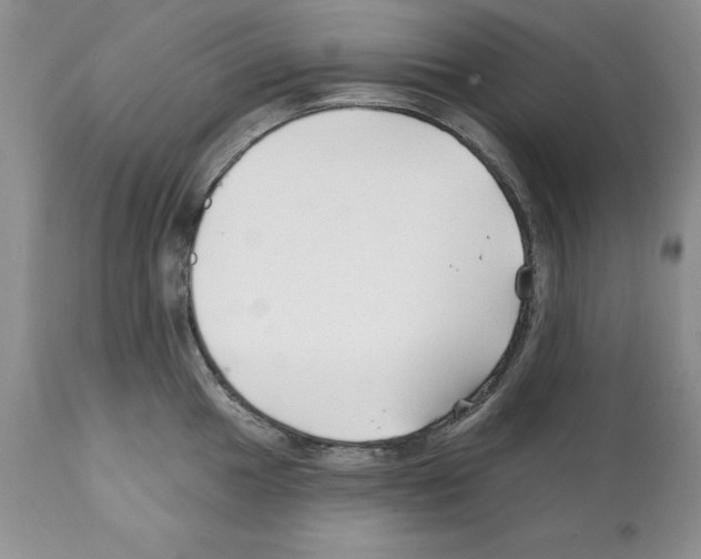 X0000112061049200909151021