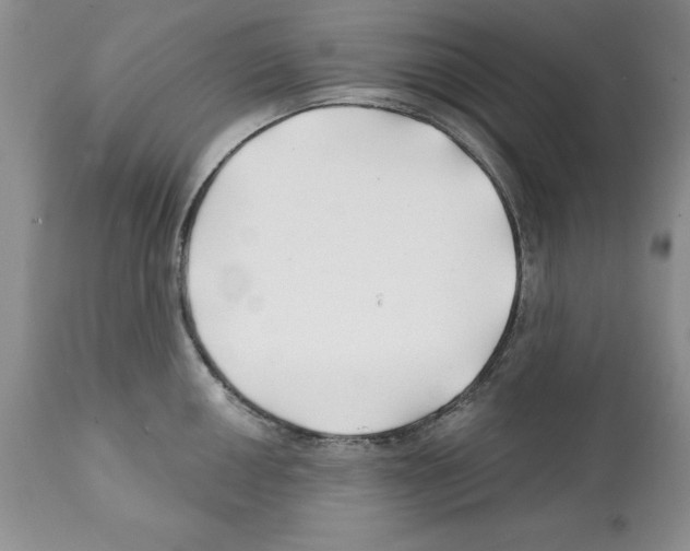 X0000112061050200909151021