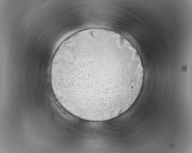 X0000112061052200909151021