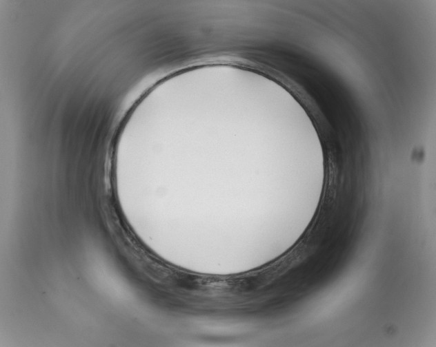 X0000112061054200909151021