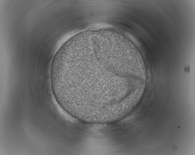 X0000112061055200909151021