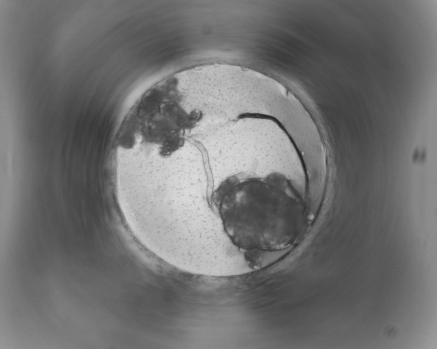 X0000112061056200909151021