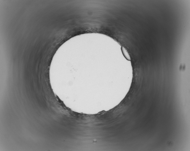 X0000112061057200909151021