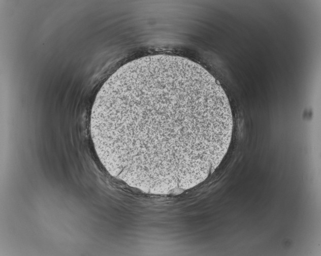 X0000112061060200909151021