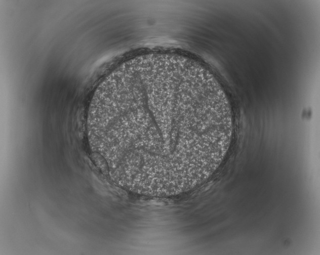 X0000112061063200909151021