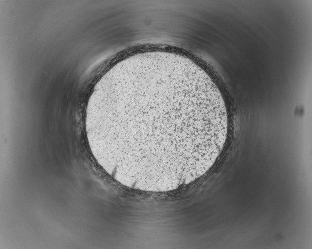 X0000112061064200909151020