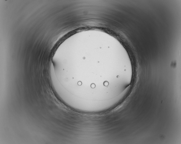 X0000112061065200909151020