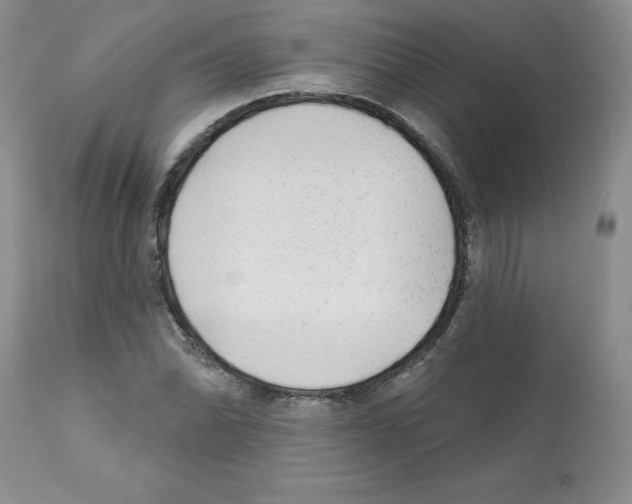 X0000112061070200909151020