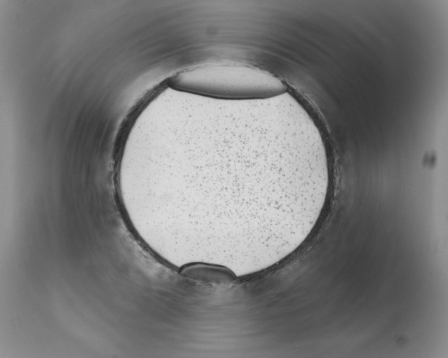 X0000112061072200909151020