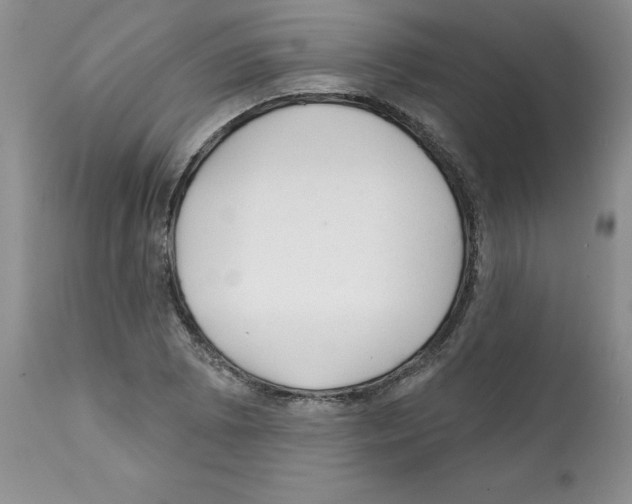 X0000112061073200909151020