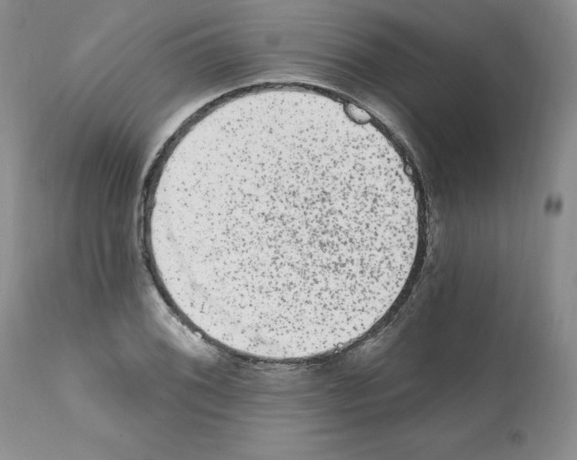 X0000112061076200909151020