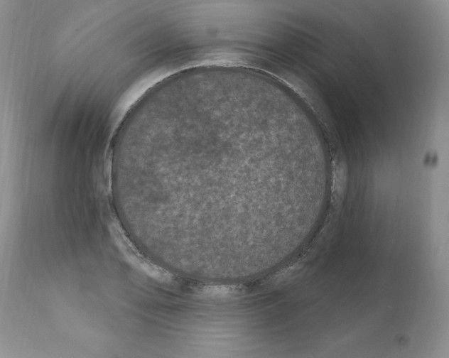 X0000112061078200909151020