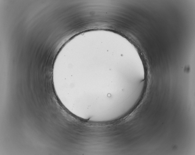 X0000112061081200909151020