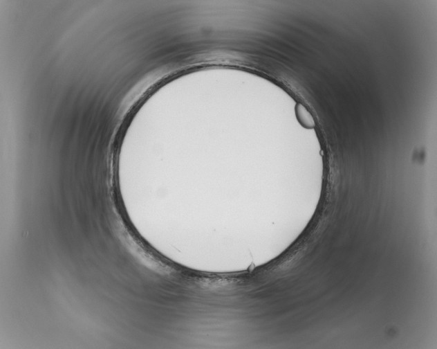 X0000112061082200909151020