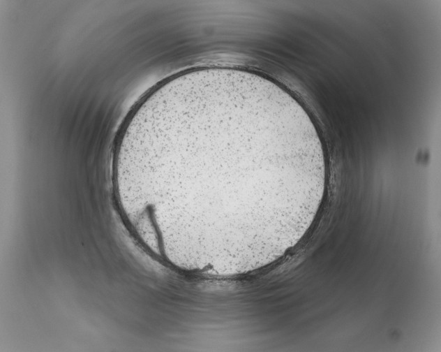X0000112061083200909151020