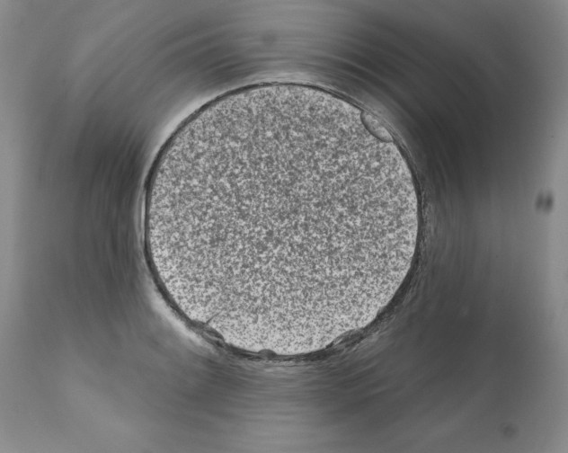 X0000112061084200909151020