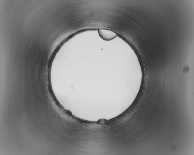 X0000112061085200909151020