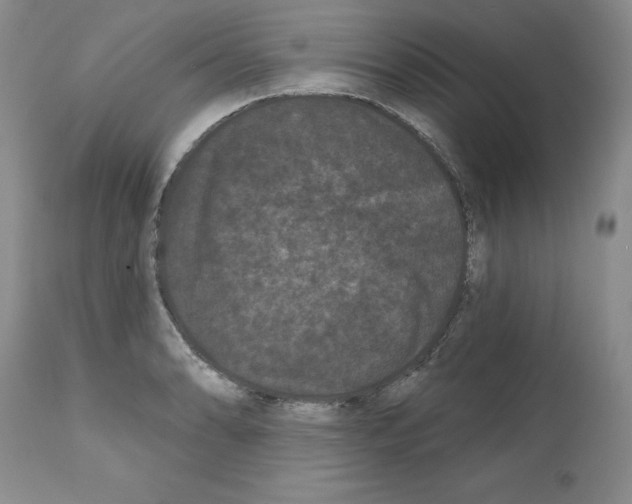 X0000112061086200909151020