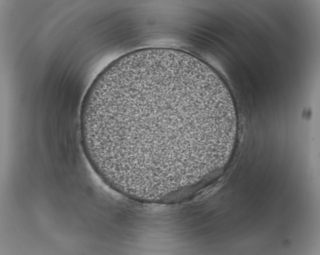 X0000112061087200909151020