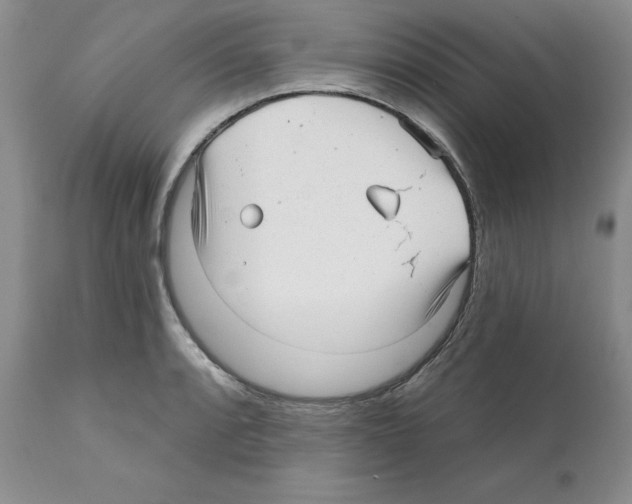 X0000112061088200909151020
