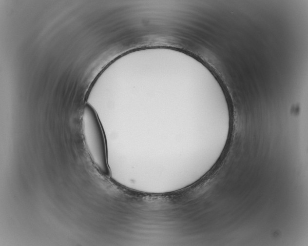 X0000112061089200909151020