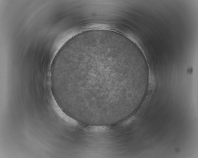 X0000112061090200909151020