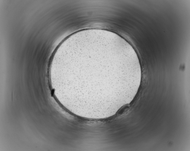 X0000112061091200909151020
