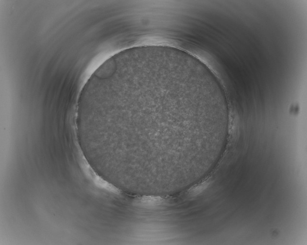 X0000112061094200909151020