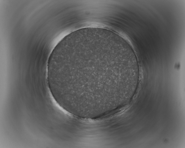 X0000112061095200909151020