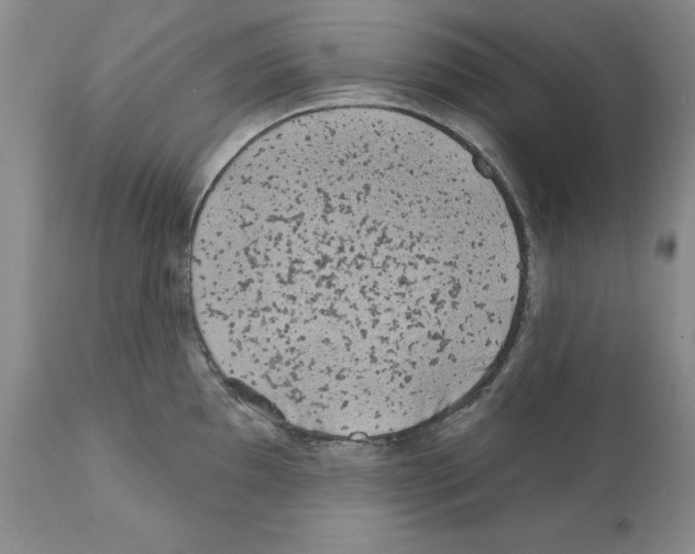 X0000112061097200909151020