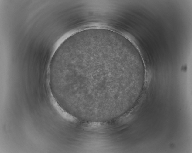 X0000112061098200909151020