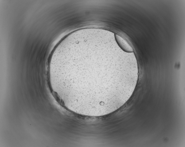 X0000112061099200909151020