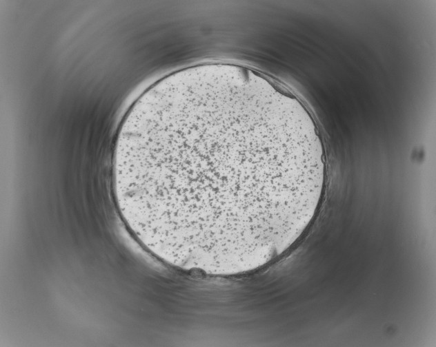 X0000112061100200909151020