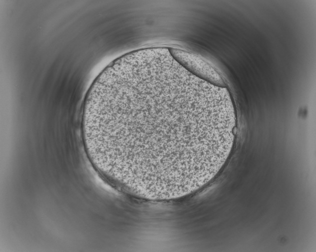 X0000112061102200909151020