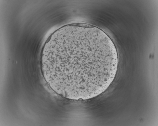 X0000112061104200909151020
