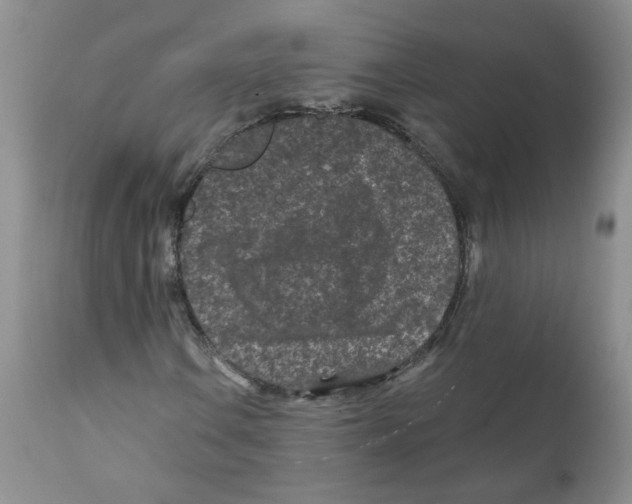 X0000112061106200909151019