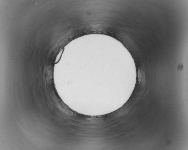 X0000112061107200909151019