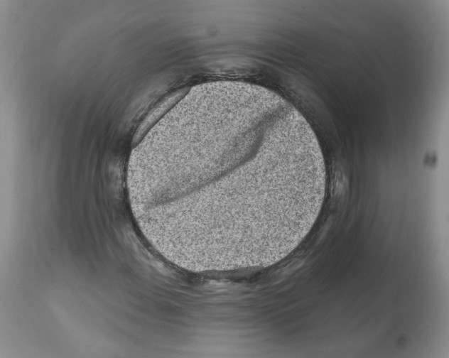 X0000112061108200909151019
