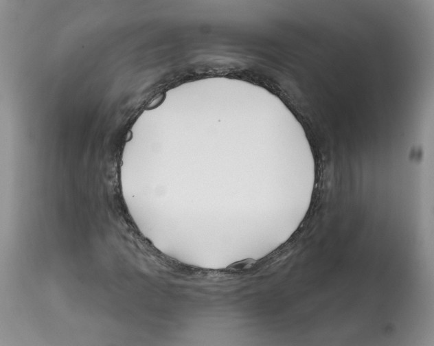 X0000112061109200909151019