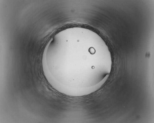 X0000112061110200909151019