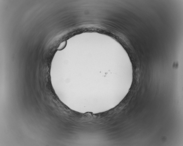 X0000112061111200909151019